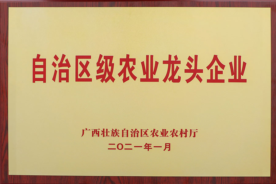 自治區(qū)級(jí)廣西農(nóng)業(yè)龍頭企業(yè)