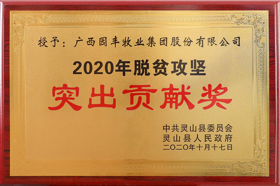 2020年10月17日 2020年脫貧攻堅(jiān)突出貢獻(xiàn)獎(jiǎng)