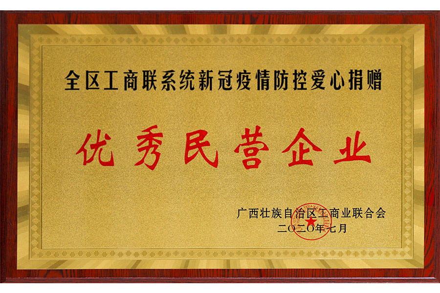 全區(qū)工商聯(lián)系統(tǒng)新冠疫情防控愛(ài)心捐贈(zèng)-優(yōu)秀民營(yíng)企業(yè)
