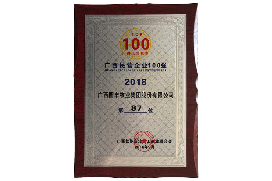廣西民營(yíng)企業(yè)100強(qiáng)第87位